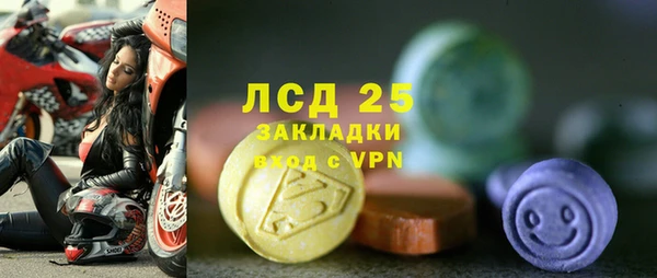 сатива Алзамай