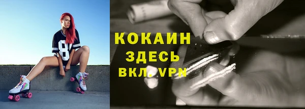 ALPHA PVP Алексин