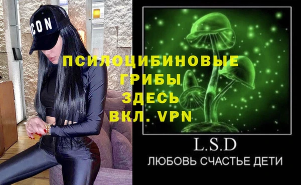 сатива Алзамай