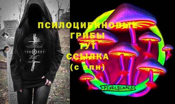 сатива Алзамай