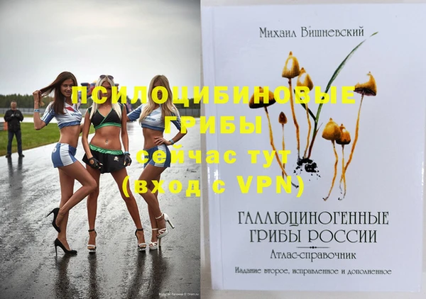 ALPHA PVP Алексин