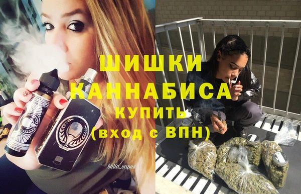 сатива Алзамай