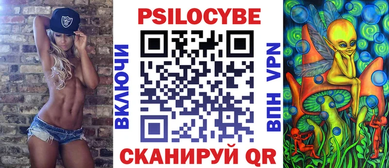 где купить Спасск-Рязанский Псилоцибиновые грибы GOLDEN TEACHER